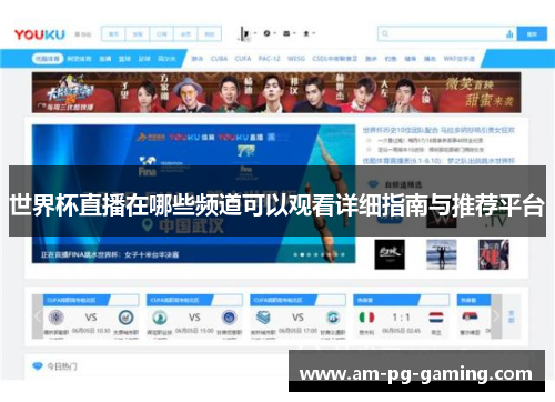 世界杯直播在哪些频道可以观看详细指南与推荐平台