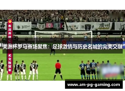 美洲杯罗马赛场聚焦：足球激情与历史名城的完美交融
