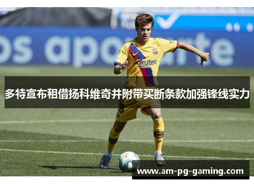 多特宣布租借扬科维奇并附带买断条款加强锋线实力