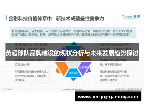 英超球队品牌建设的现状分析与未来发展趋势探讨