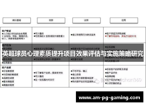 英超球员心理素质提升项目效果评估与实施策略研究