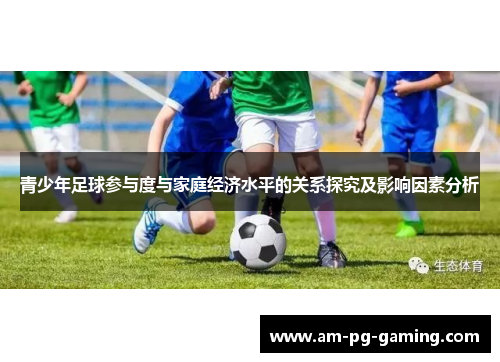 青少年足球参与度与家庭经济水平的关系探究及影响因素分析