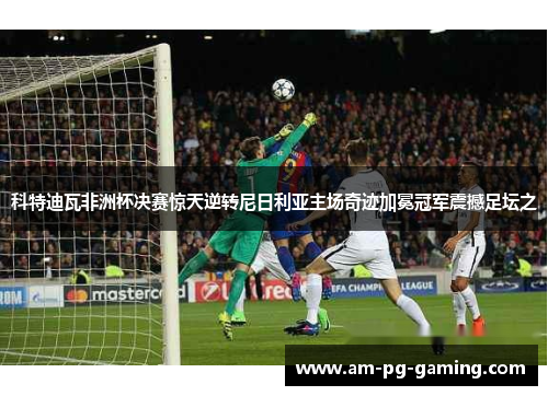 科特迪瓦非洲杯决赛惊天逆转尼日利亚主场奇迹加冕冠军震撼足坛之